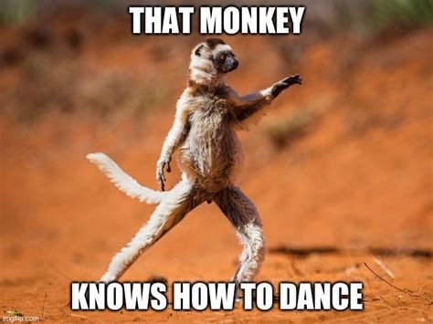 Dancing monkey - Imgflip