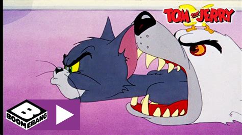 Tom & Jerry | The Drop | Boomerang UK - YouTube