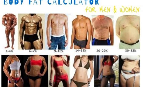 Body Fat Calculator for Men and Women – Page 2 – Dizwa