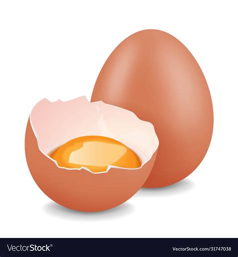 Chicken egg Royalty Free Vector Image - VectorStock