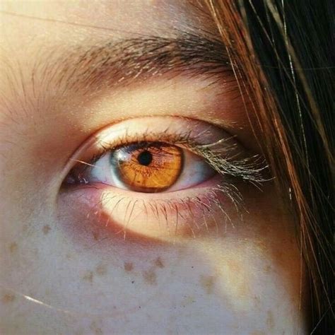 brown eyes in the sun are like pools of honey | Brown eyes aesthetic, Aesthetic eyes, Eye ...