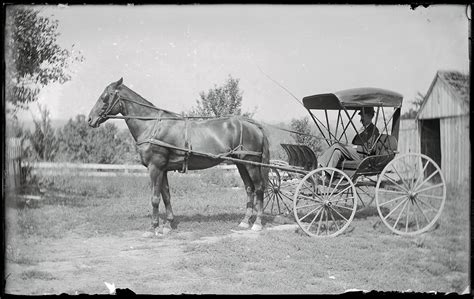 Horse and Carriage | National Museum of American History
