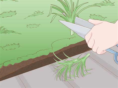 How to Use a Lawn Edger: 14 Steps (with Pictures) - wikiHow