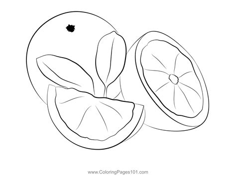 Mandarin Orange Coloring Page for Kids - Free Mandarin Orange Printable Coloring Pages Online ...