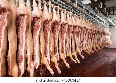 Pigs Carcass: Over 2,524 Royalty-Free Licensable Stock Photos | Shutterstock