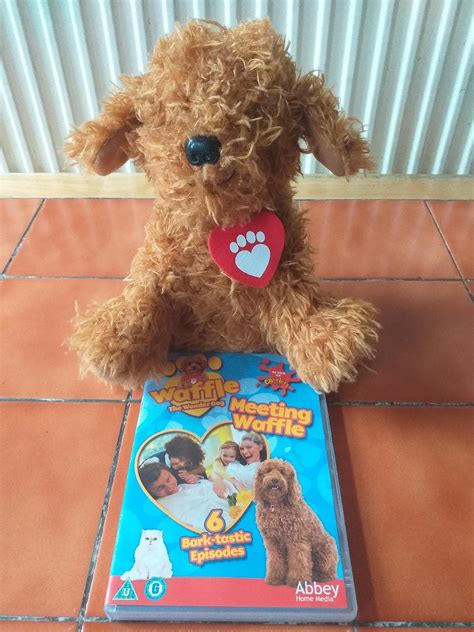 Waffle the wonder dog and dvd in WN1 Wigan for £10.00 for sale | Shpock