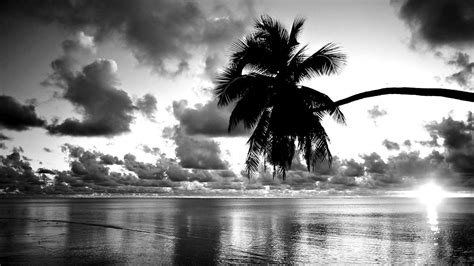 Black and White Sunset Wallpapers - Top Free Black and White Sunset ...