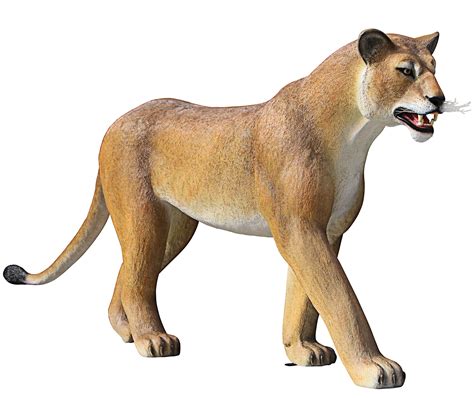 Design Toscano The Grande-Scale Wildlife Animal Lioness on The Prowl ...