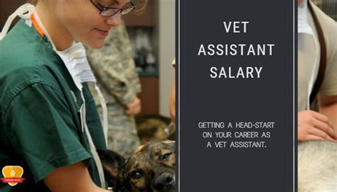 Veterinary Assistant Salary (How Much Does a Vet Assistant Make?)