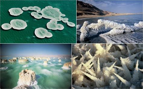 Strange Salt Formations in the Dead Sea | Amusing Planet