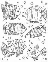 Exotic Fish Coloring Pages At GetColoringscom  Free Printable sketch template
