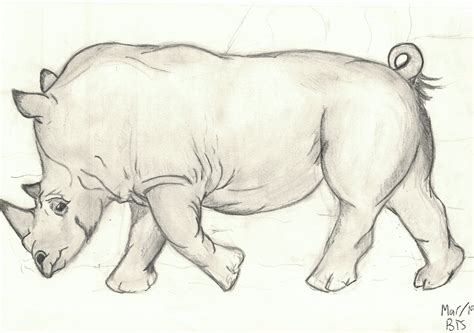 White Rhino by AltaikaTau on DeviantArt