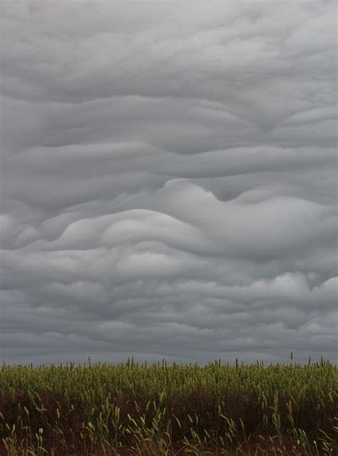 Asperitas clouds visit Dorset, UK - Cloud Appreciation Society | Clouds ...