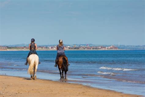 Horse Riding On Beach Free Stock Photo - Public Domain Pictures