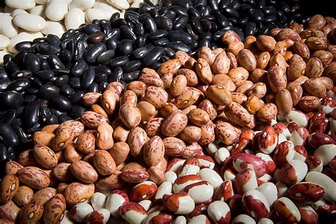 What Is Cacao (The Cocoa Bean)? - WorldAtlas