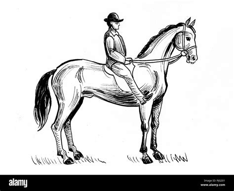 Man Riding Horse Cut Out Stock Images & Pictures - Alamy