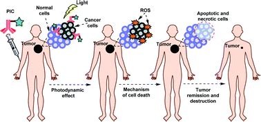 Photoimmunoconjugates: novel synthetic strategies to target and treat cancer by photodynamic ...