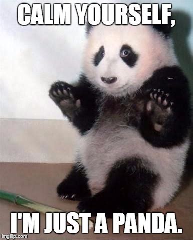 Hands Up panda - Imgflip