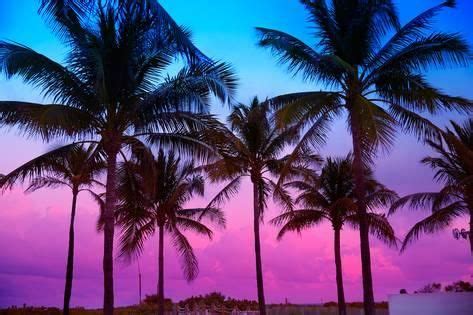 'Miami Beach South Beach Sunset Palm Trees in Ocean Drive Florida ...