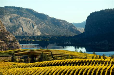 Okanagan Wineries: One of the Top Wine Regions around the World - Villa Rentals, Luxury Retreats ...