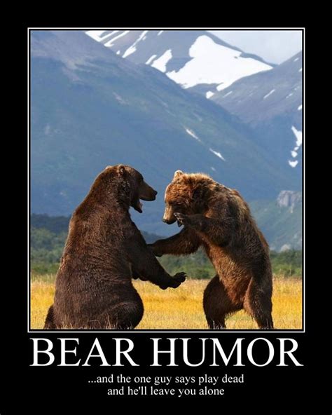 Bear Humor by Circusdog on DeviantArt