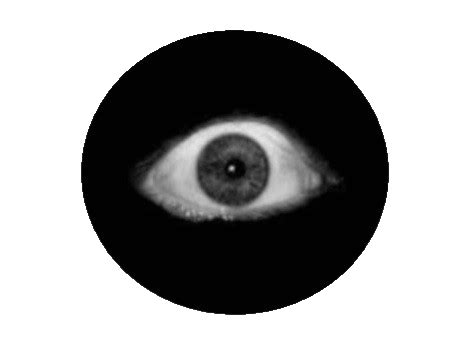 Creepy Eyes Png Roblox Blox Watch Eyes Transparent PNG, 49% OFF