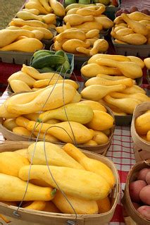 Yellow Squash at Farmers Market | ACES | Bruce Dupree | Alabama Extension | Flickr