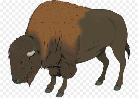 Free Bison Silhouette Clip Art, Download Free Bison Silhouette Clip Art ...