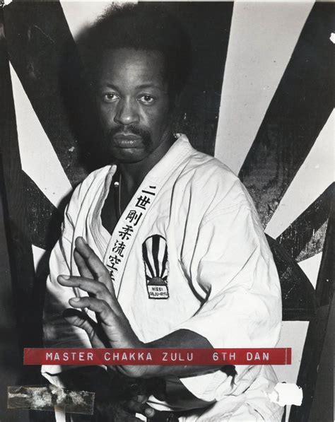 The Origins of Sho’Nuff (Forgotten Fury: The Masters of The Red Glow) | Karate martial arts ...