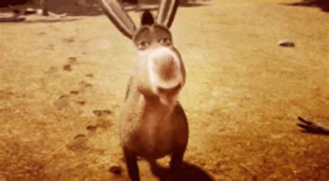 Donkey Smiling GIF - Donkey Smiling Cute - Discover & Share GIFs