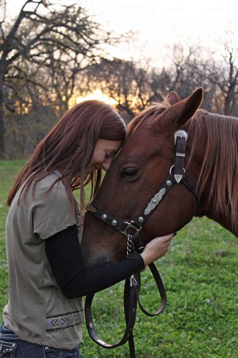 Free Images : nature, white, farm, portrait, pasture, ranch, brown ...