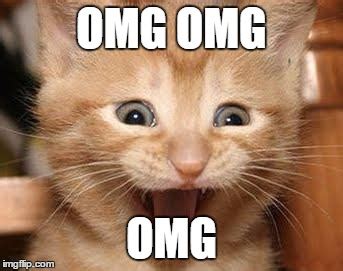 OMG cat meme 3 | EntertainmentMesh