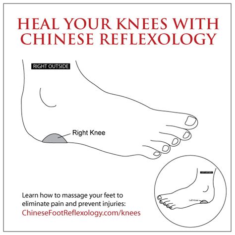 knees | Chinese Reflexology with Holly Tse