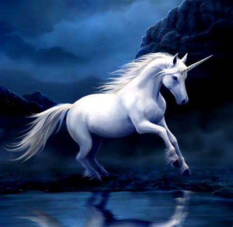 Unicorn Wallpapers Hd Best Unicorn Fantasy Art Background - Heart Of A Unicorn - 942x921 ...
