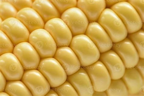 Ear of corn 8173460 Stock Photo at Vecteezy