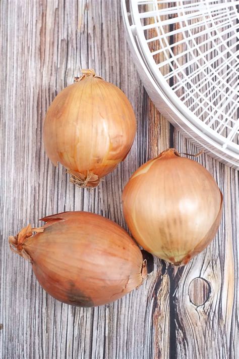 Onion Powder Recipe - Mason Jar Recipe