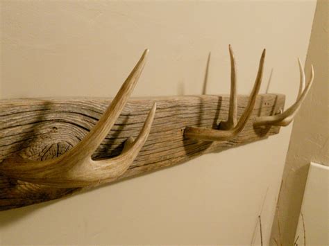 Deer Antler Art Ideas