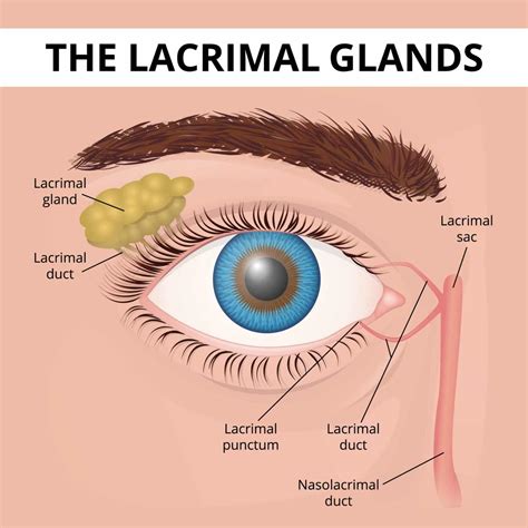 What are Tear Duct and Eye Socket Disorders? | Takle Eye Group