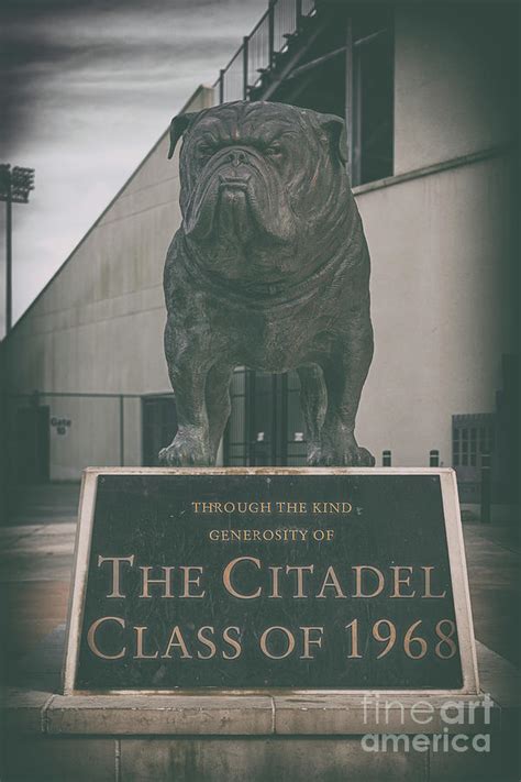 Citadel Mascot - Bulldog Photograph by Dale Powell - Fine Art America