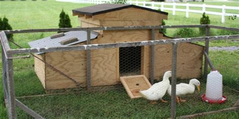 23 Duck House Plans With Tutorials That You Can Build In A Weekend – The Poultry Guide