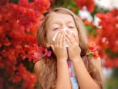 How to Survive Cedar Allergies in Texas | LiveGrowPlayAustin.com