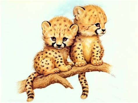 Pin by H on ruth morehead robin james l k powell | Cute animal drawings, Cheetah cartoon, Cute ...