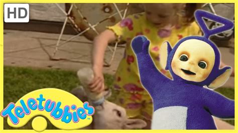 ★Teletubbies Everywhere ★ English Episodes ★ Feeding Lambs (Wales) ★ Full Episode (S2E49) - HD ...