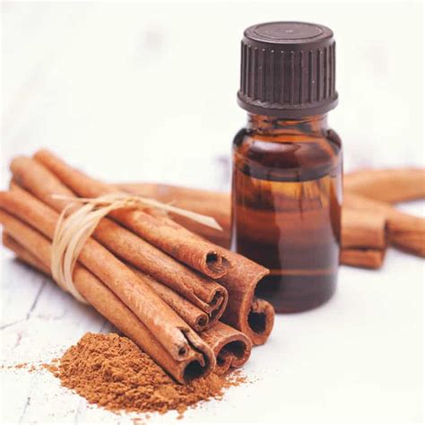 50 Unbelievable Benefits of Cinnamon Sexually: Ultimate Guide 2023