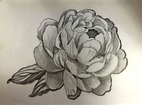 Flower Drawings With Shading 12++ Images Result | Koltelo