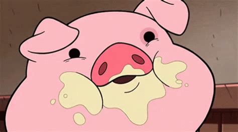 Piggy-GIFs | Tenor