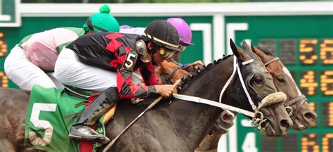 Horse racing | At Monmouth Park Racetrack in New jersey | Peter Miller ...