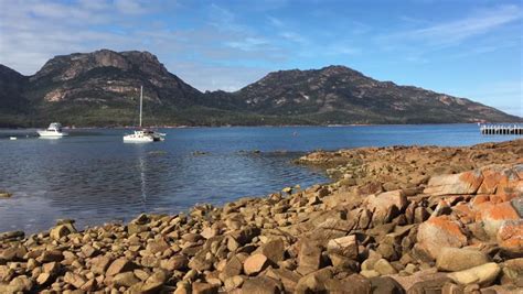 Landscape of Greens Beach in Tasmania, Australia image - Free stock photo - Public Domain photo ...