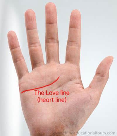 How Chinese Palmistry Works: How to Read & Palm Lines Meaning