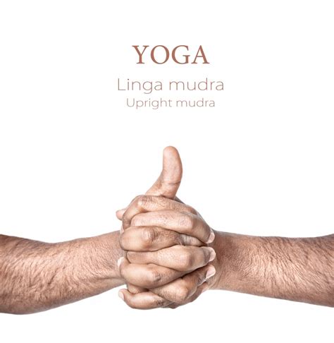 Yoga Mudras med bilder-Hasta Mudras, handgester | Radio Integracion